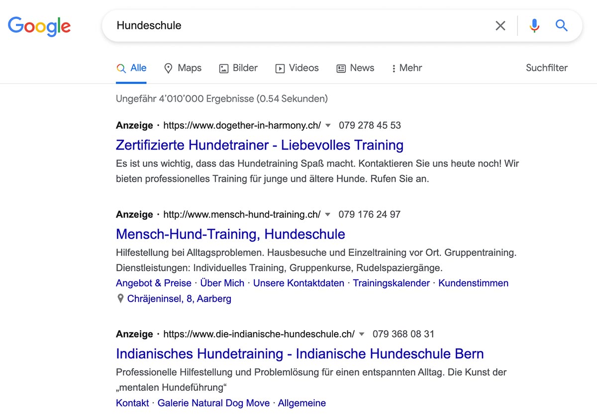 Screenshot von Google Anzeigen